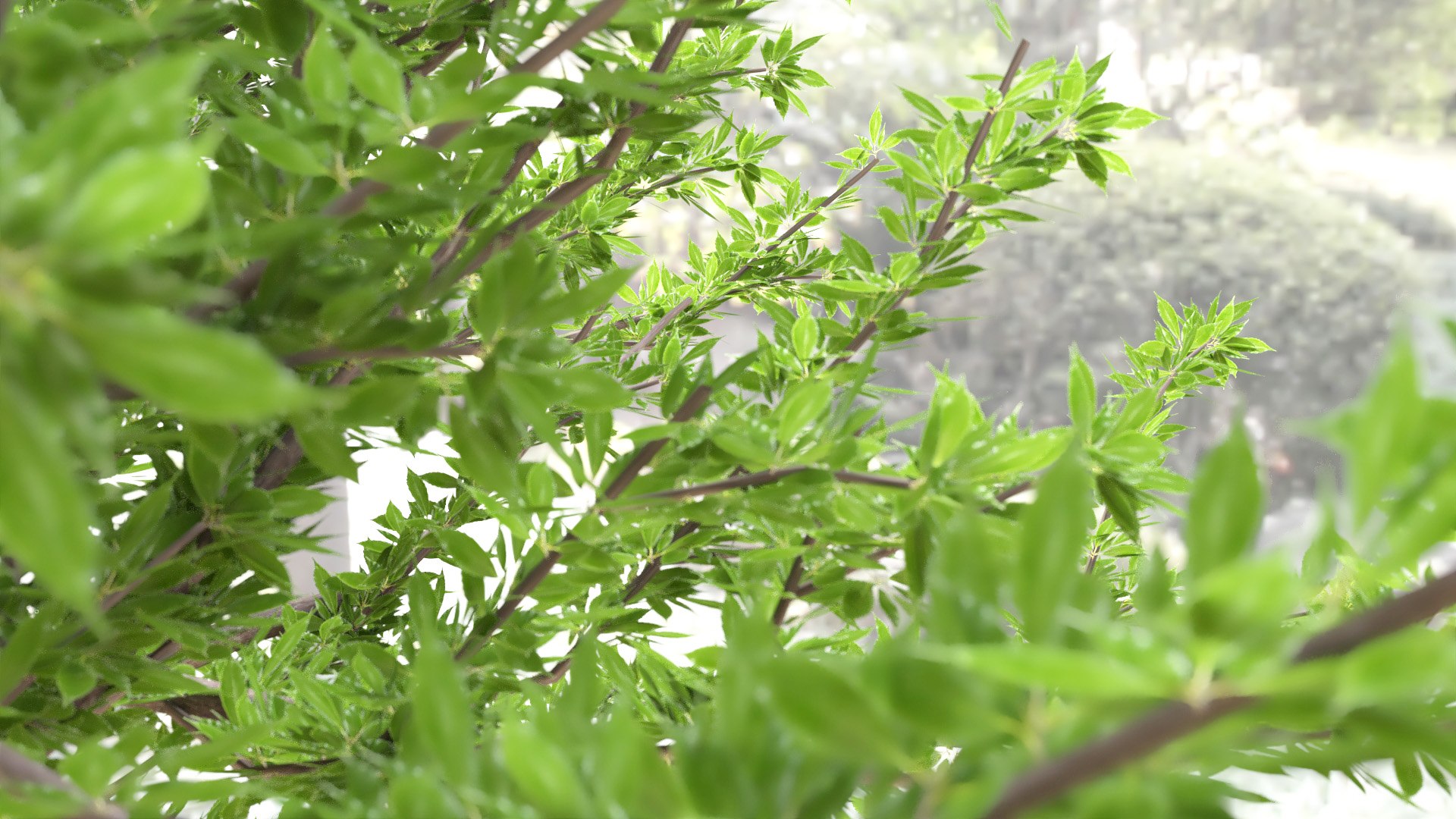 tree 3D model https://p.turbosquid.com/ts-thumb/kC/2szoUl/R6/image006/jpg/1611560064/1920x1080/fit_q87/ad50c380933c48a4e3d6dd9d24d8d01e7c156f2a/image006.jpg
