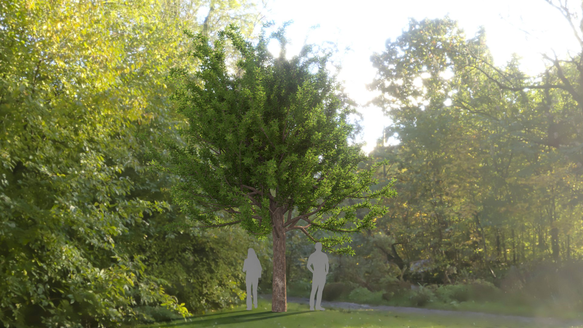 tree 3D model https://p.turbosquid.com/ts-thumb/kC/2szoUl/e1/image002/jpg/1611560065/1920x1080/fit_q87/307a5d76640167561a3ee06cb16acbd92631a321/image002.jpg