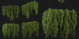 3D model Collection plant vol 213 - blender model