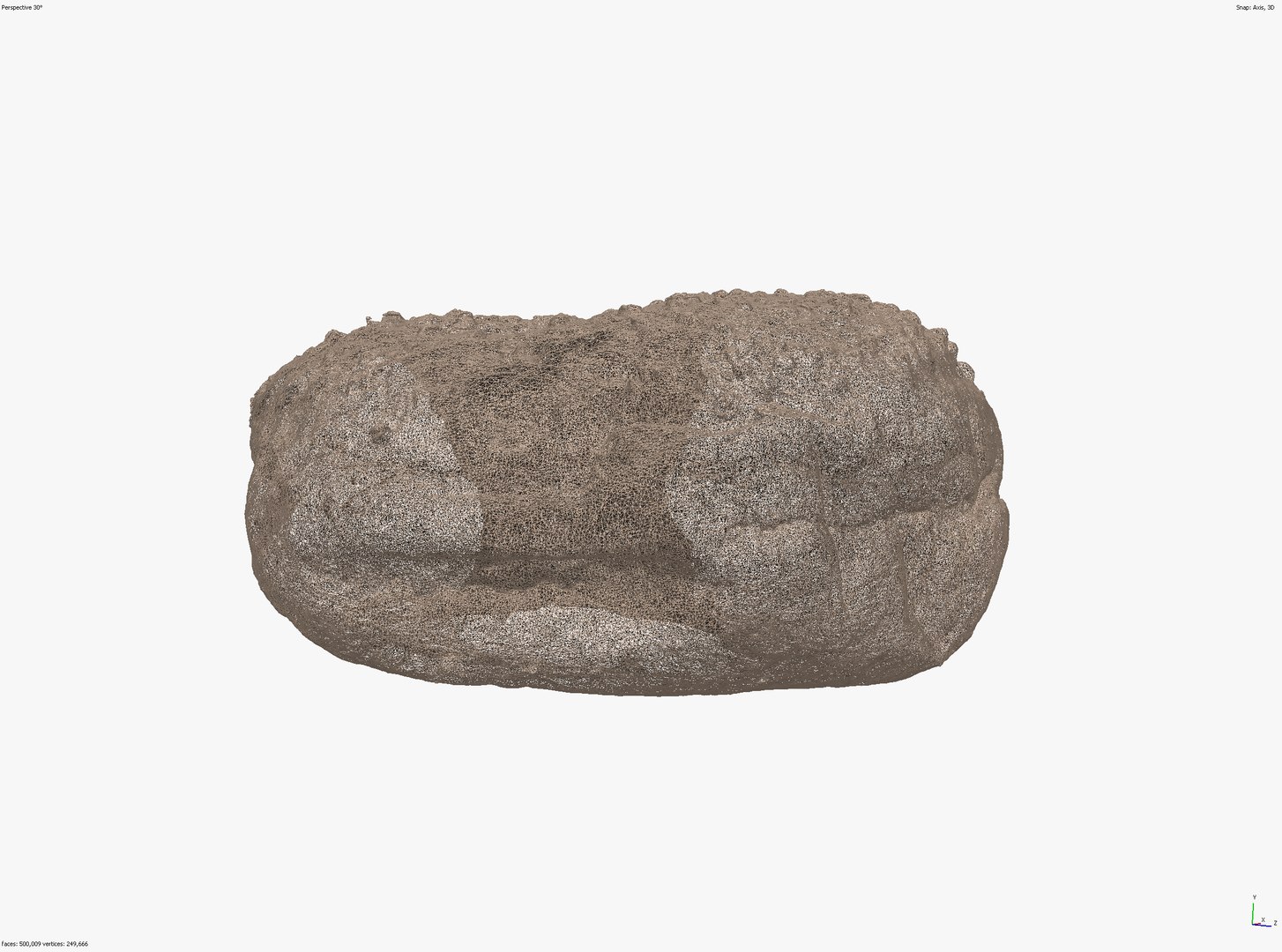 CROSS-POLARIZED CHOCOLATE DONUT 3D SCAN LOW HIGH POLY 3D MODEL 16k TEXTURES 3D model https://p.turbosquid.com/ts-thumb/kC/4ieq0Q/96/screenshot_19/png/1649190848/1920x1080/fit_q87/830a01cae13638fb5dd4f4046ba105e91a191174/screenshot_19.jpg