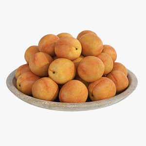 Apricot plate 3D