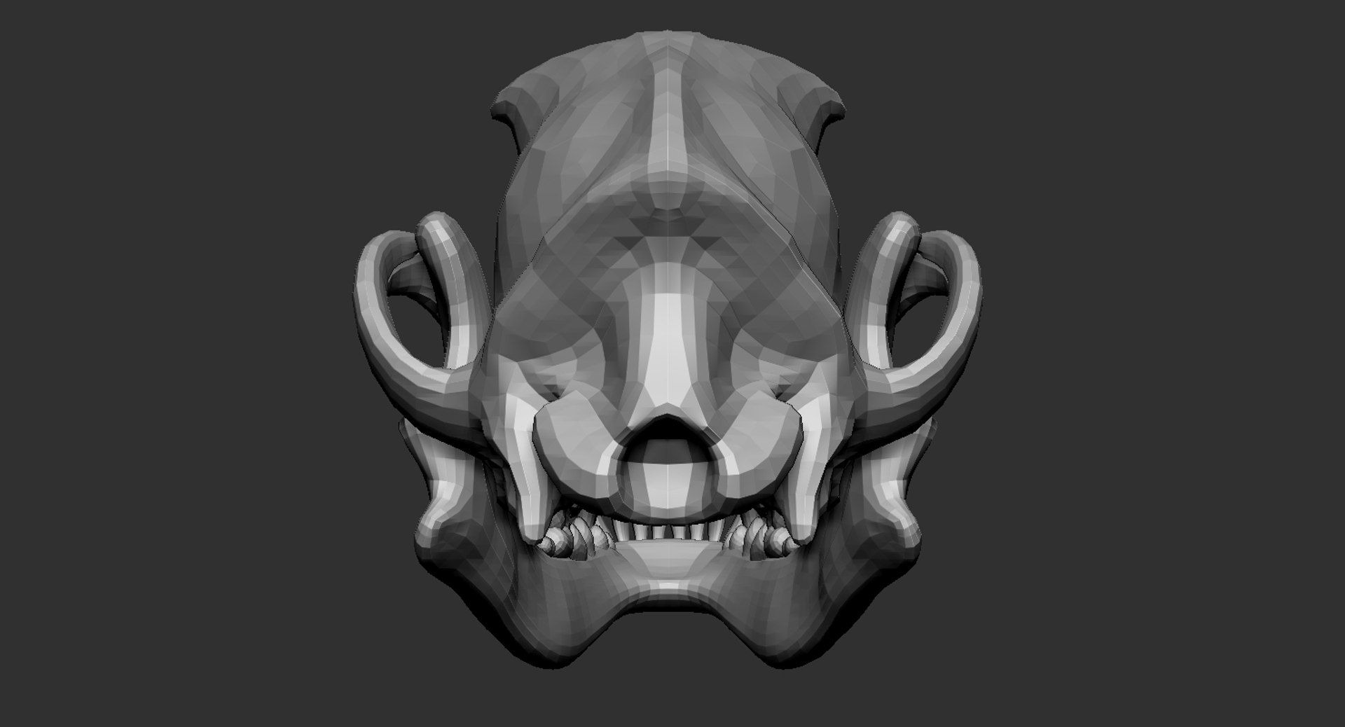 3D Model Dog Skull Anatomy Base Mesh - TurboSquid 1472117