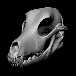 Dog Skull Base Mesh