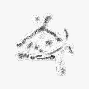 3D Bifidobacterium Longum Bacteria