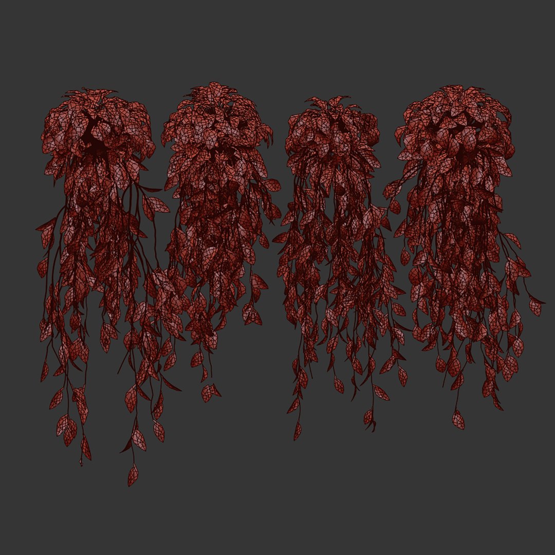 3D plant vol 903 - Hanging - Ampelous - devils ivy model https://p.turbosquid.com/ts-thumb/kC/S1lvnP/jh/6/jpg/1781596615/1920x1080/fit_q87/87ffbf029e19cb939d200289491aa6aa9b098306/6.jpg