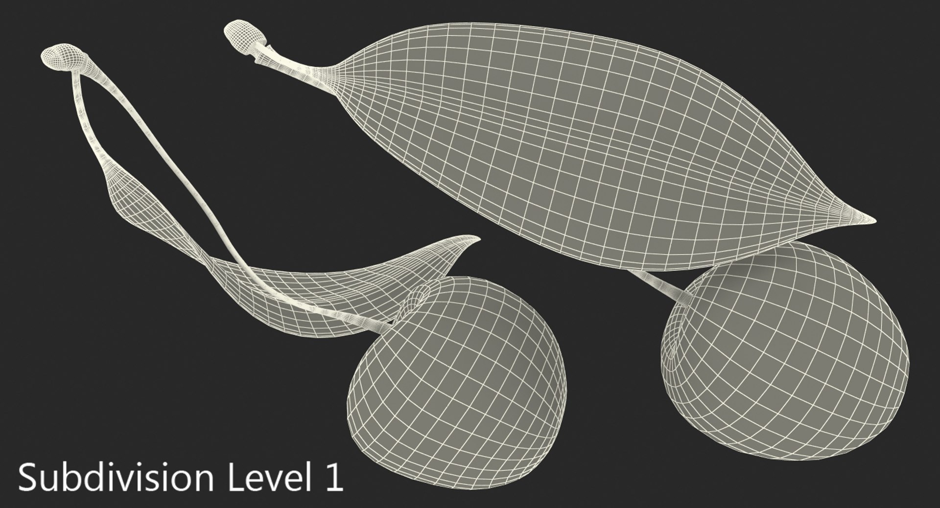 3D cherry realistic model https://p.turbosquid.com/ts-thumb/kC/Y2cGvj/nEC2FEpq/cherrycollection3dsmodel010/jpg/1505232994/1920x1080/fit_q87/c8aca2f5d8cbdfb5e026712ec72253d578f91626/cherrycollection3dsmodel010.jpg
