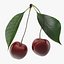 Cherry Collection