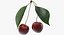 Cherry Collection