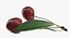 Cherry Collection