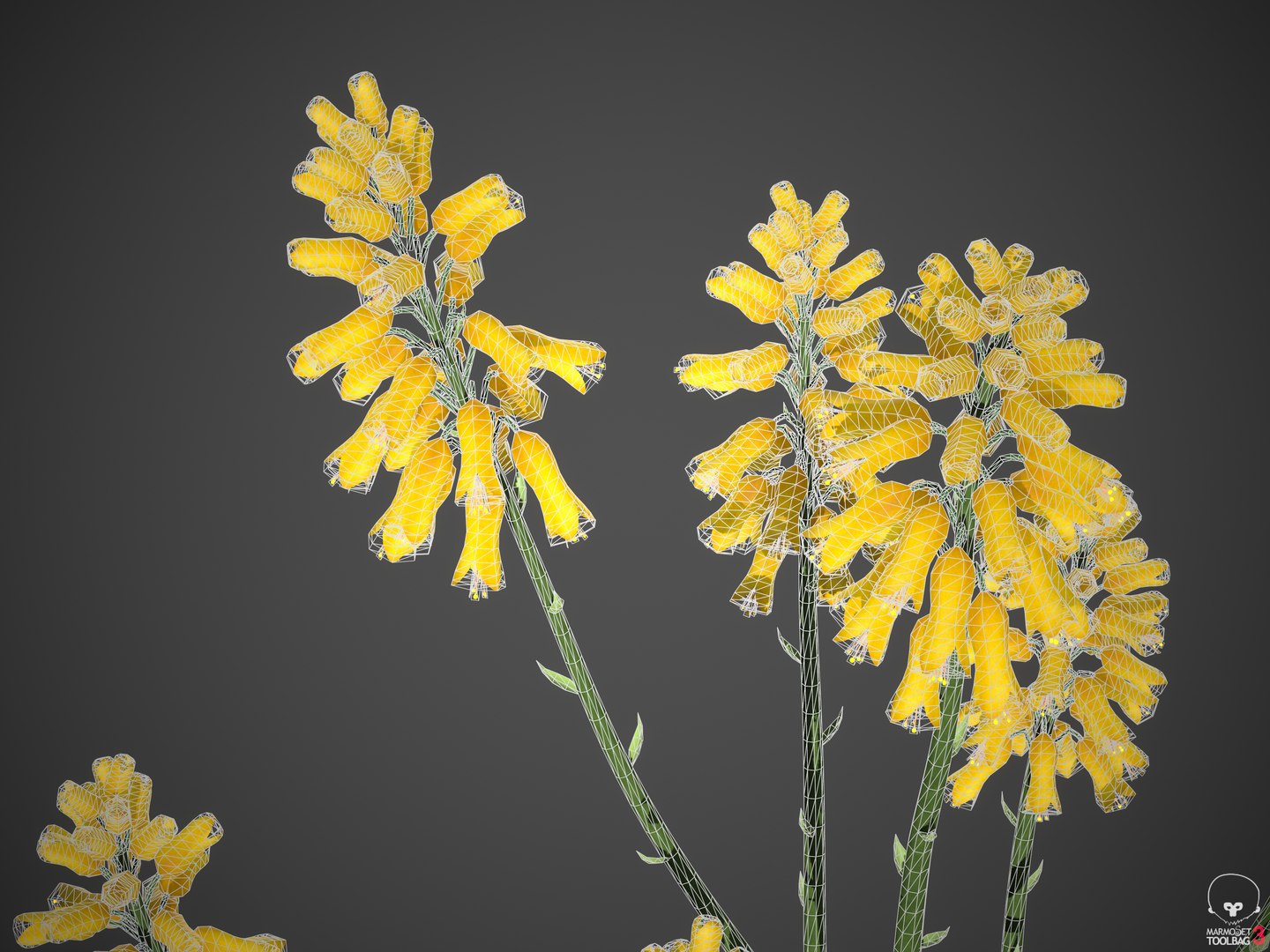 3D model XfrogPlants Aloe Vera - Aloe Barbadensis https://p.turbosquid.com/ts-thumb/kC/ZWnwQX/64/screenshot002/png/1618430068/1920x1080/fit_q87/b6ba46da4407fd5f1d1d4ff5fbce870c56b2fee5/screenshot002.jpg