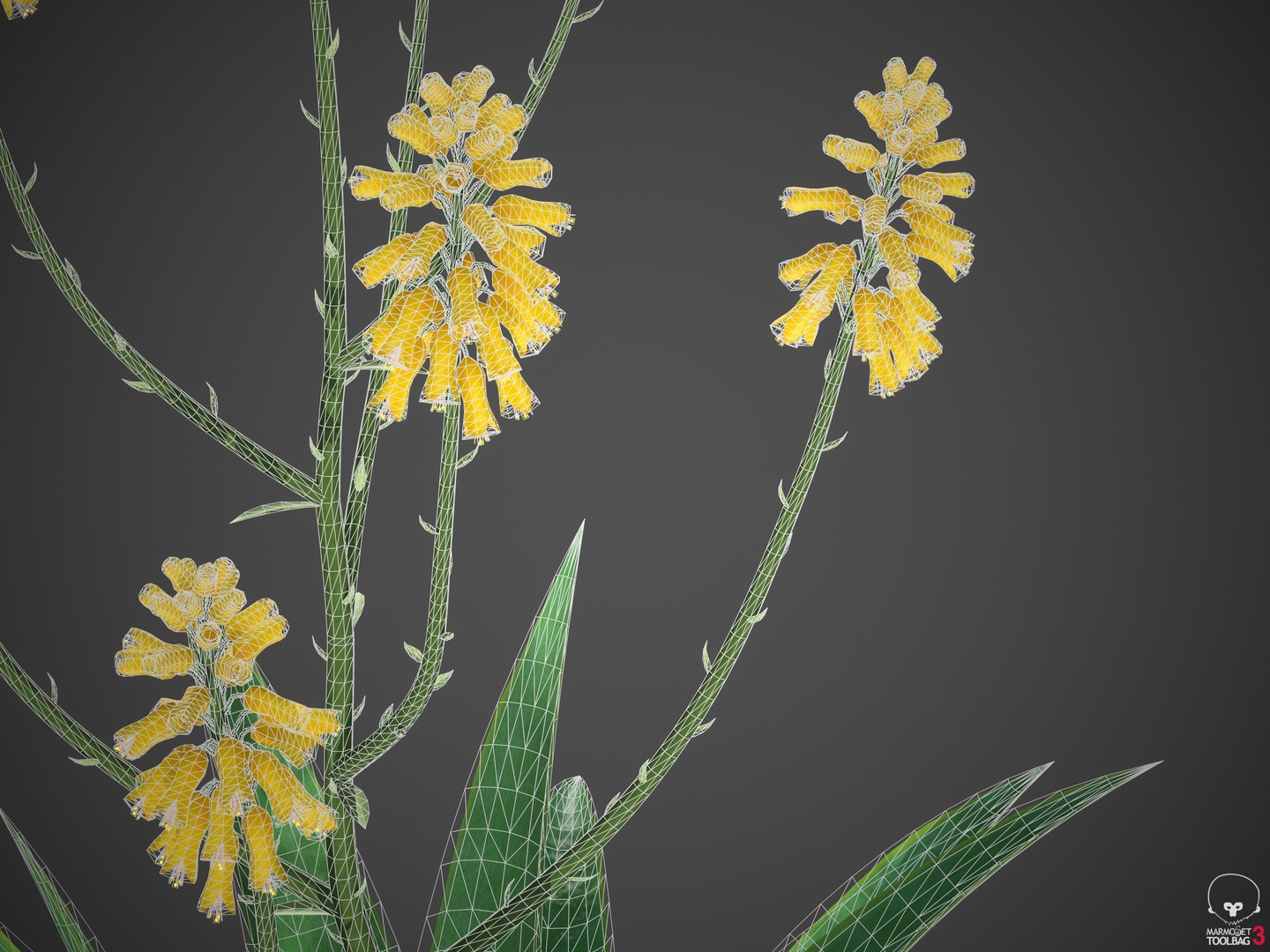 3D model XfrogPlants Aloe Vera - Aloe Barbadensis https://p.turbosquid.com/ts-thumb/kC/ZWnwQX/co/screenshot003/png/1618430069/1920x1080/fit_q87/e215a8f6943ce7f817d0aa0e99ea6985ce18ebc0/screenshot003.jpg