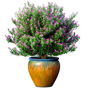 3D Decorative flowering tree shrub flowerpot Provence style lilac model