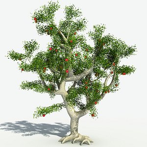 Animated Tree Texture 3D Models For Download | TurboSquid