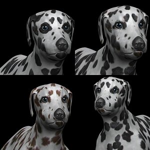 fully rigged low polygon dalmatian dog collection