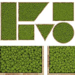 Collection plant vol 315- moss - phyto - fitowall - cinema 4d - 3dmax