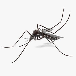 3d aedes aegypti