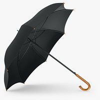 Umbrella Classic Open