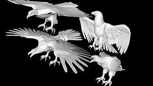 3D eagle bird model