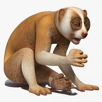 Lemur Slow Loris Rigged