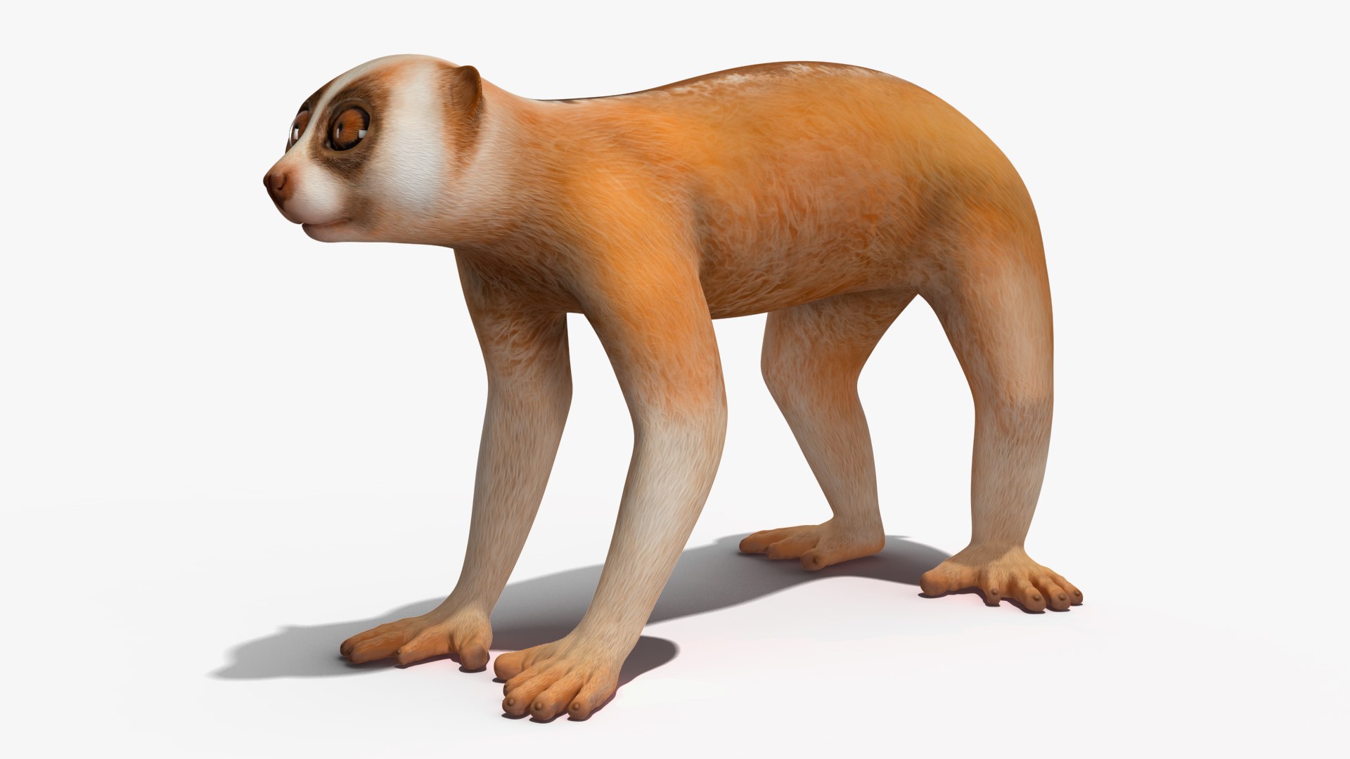 Lemur Slow Loris Rigged 3D model https://p.turbosquid.com/ts-thumb/kD/o79TfS/eU/lemurslowlorisriggedc4dmodel013/jpg/1698467346/1920x1080/fit_q87/ce3fe618e19820865671fa647b9332dbd29b16f9/lemurslowlorisriggedc4dmodel013.jpg