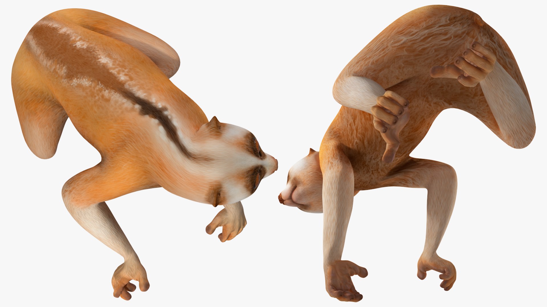 Lemur Slow Loris Rigged 3D model https://p.turbosquid.com/ts-thumb/kD/o79TfS/eb/lemurslowlorisriggedc4dmodel025/jpg/1698467393/1920x1080/fit_q87/28500299a5d4c69e96506796a85ec4ace0ebdfca/lemurslowlorisriggedc4dmodel025.jpg