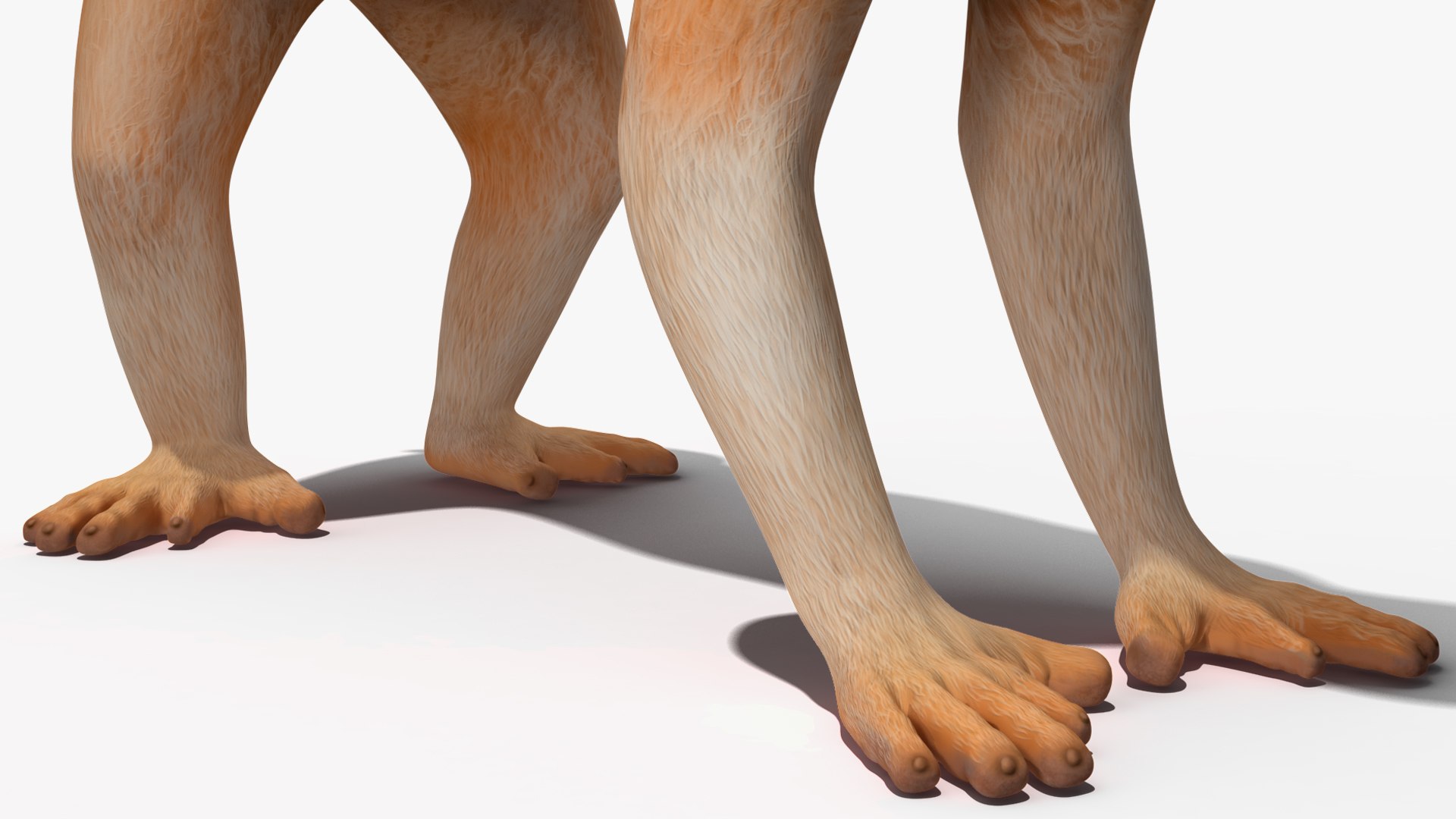 Lemur Slow Loris Rigged 3D model https://p.turbosquid.com/ts-thumb/kD/o79TfS/fP/lemurslowlorisriggedc4dmodel030/jpg/1698467414/1920x1080/fit_q87/bcb26165fa6376db9d86e403513e3cfaecfe4574/lemurslowlorisriggedc4dmodel030.jpg