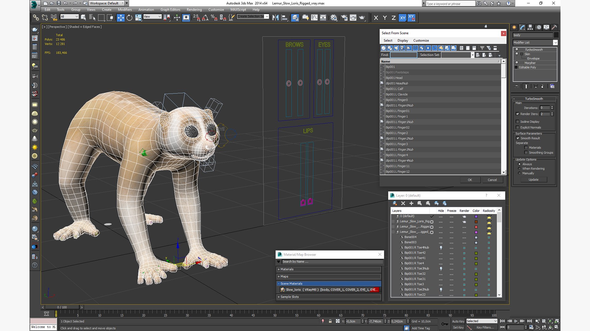 Lemur Slow Loris Rigged 3D model https://p.turbosquid.com/ts-thumb/kD/o79TfS/hB/lemurslowlorisriggedc4dmodel039/jpg/1698467453/1920x1080/fit_q87/34efdfffb7efde070335f4095f66c771ff125667/lemurslowlorisriggedc4dmodel039.jpg