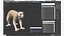 Lemur Slow Loris Rigged