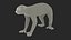 Lemur Slow Loris Rigged