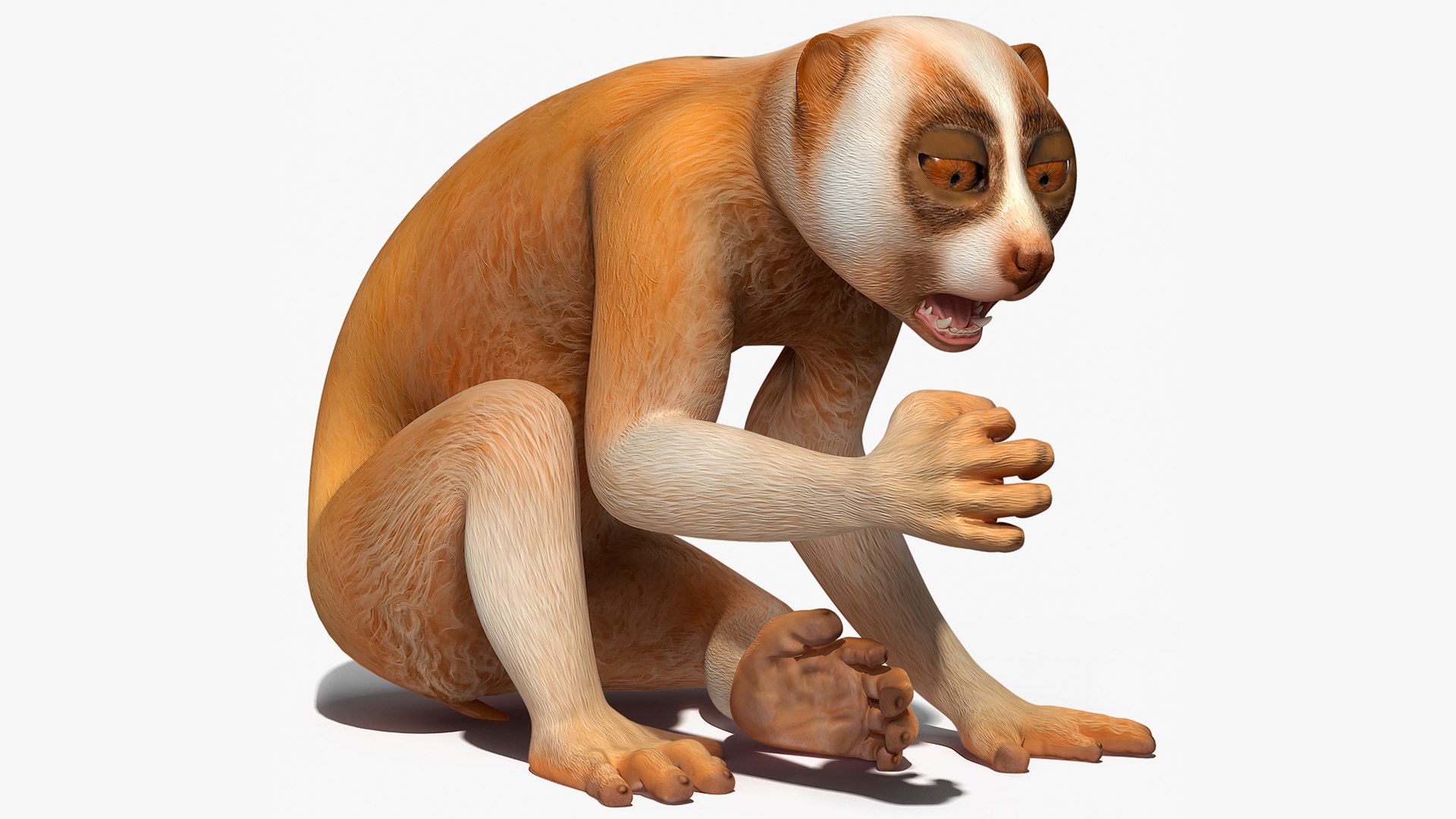 Lemur Slow Loris Rigged 3D model preview
