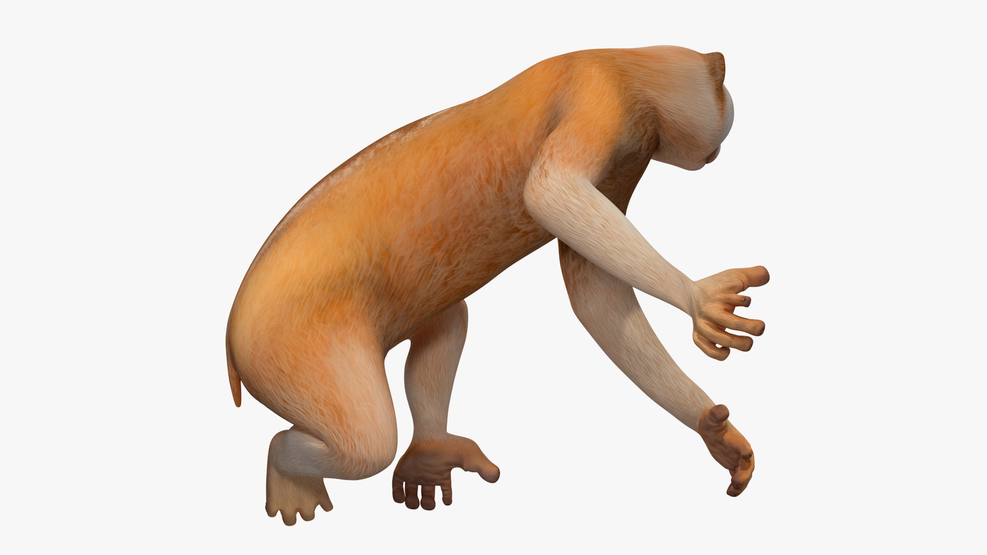 Lemur Slow Loris Rigged 3D model https://p.turbosquid.com/ts-thumb/kD/o79TfS/xF/lemurslowlorisriggedc4dmodel019/jpg/1698467369/1920x1080/fit_q87/ecf703d5bebc068f7d87f16787acbef7a48282bf/lemurslowlorisriggedc4dmodel019.jpg