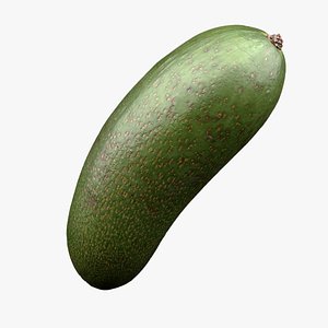 3D Avocado Fruit