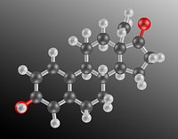 Testosteron&Estrogen