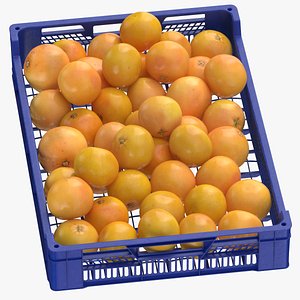 postharvest tray grapefruits 3D model