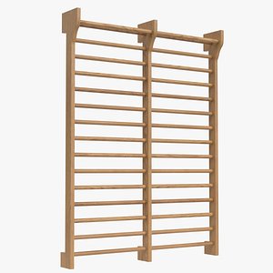 Double Swedish ladder 2