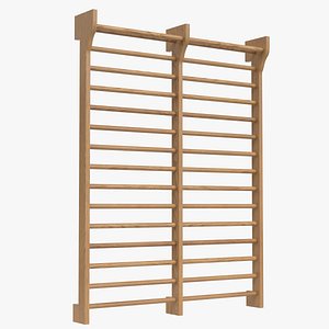 Double Swedish ladder 2