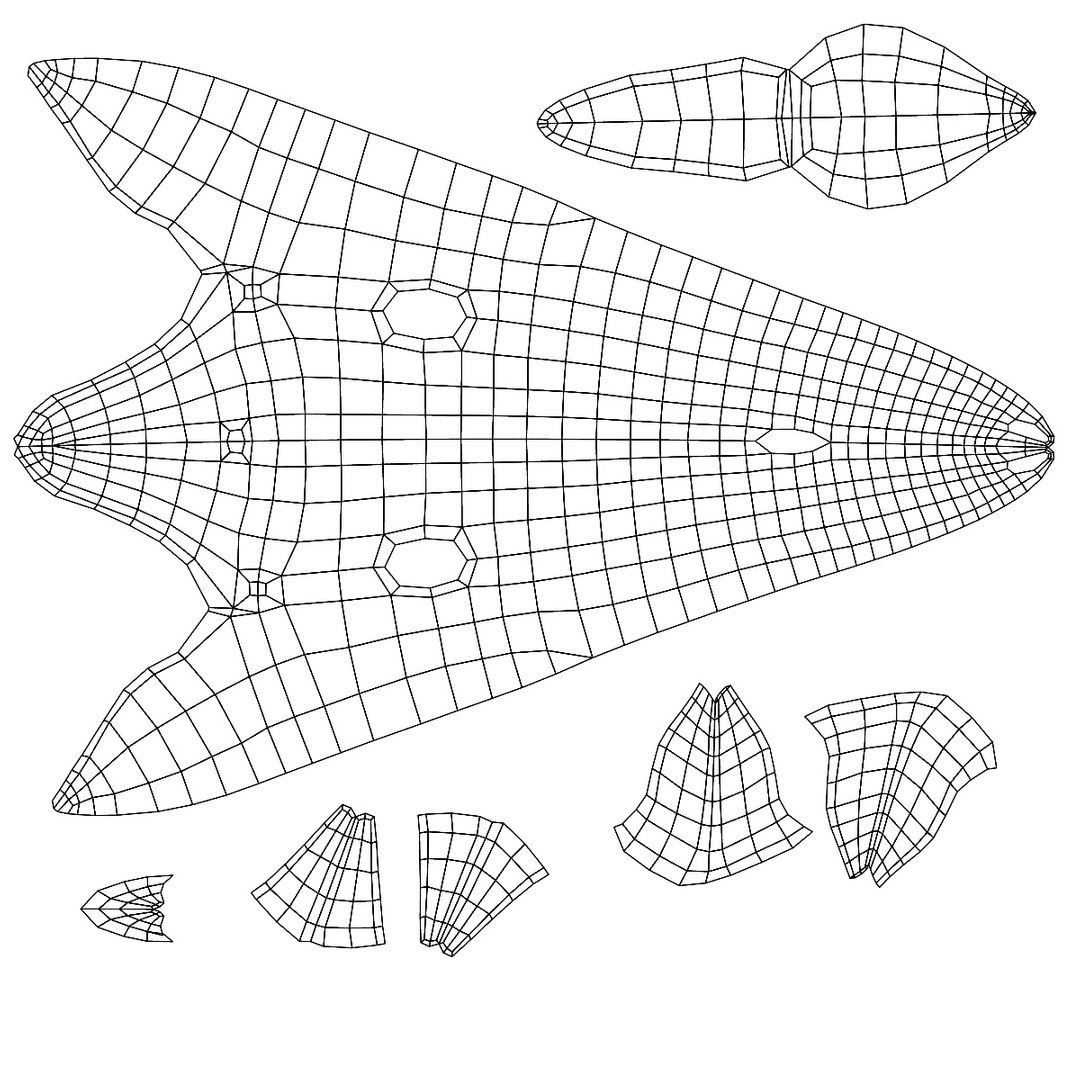 3d Model Base Mesh Blue Whale