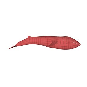 Blue whale base mesh