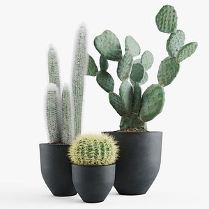 set cacti concrete pots 3D model