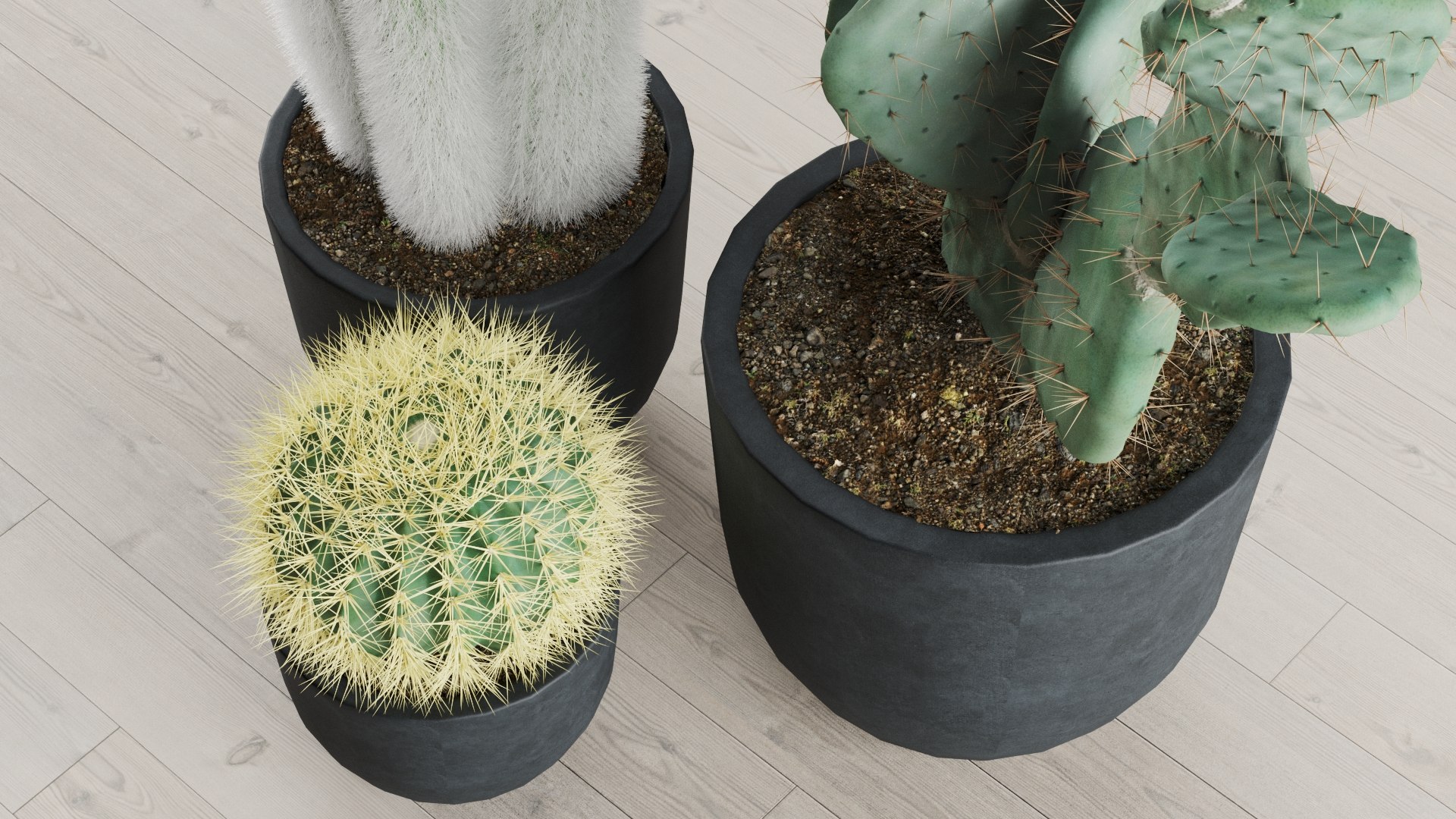 set cacti concrete pots 3D model https://p.turbosquid.com/ts-thumb/kE/TR1BLM/FE/preview_05/jpg/1613654910/1920x1080/fit_q87/aa10421bce0b9acbbd10833b7d36c10c4233e75f/preview_05.jpg