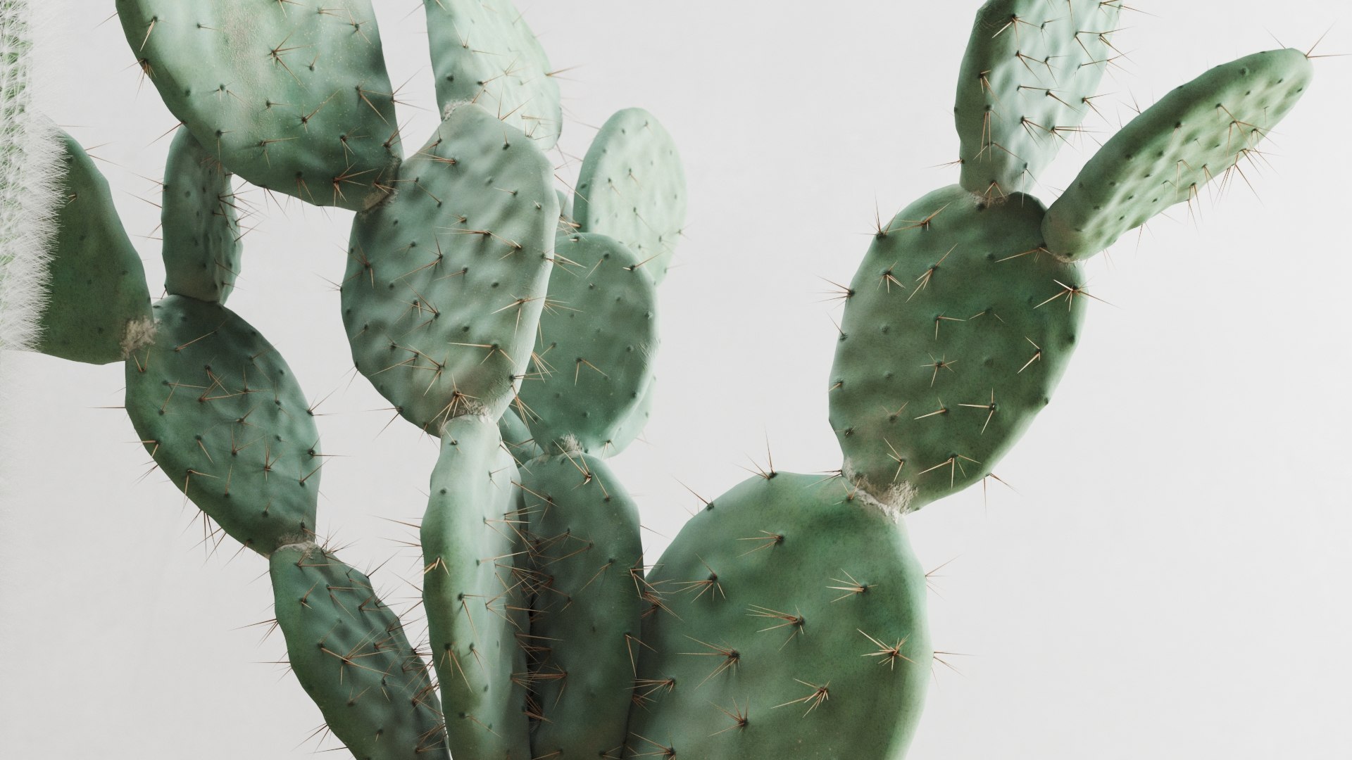 set cacti concrete pots 3D model https://p.turbosquid.com/ts-thumb/kE/TR1BLM/V9/preview_03/jpg/1613654914/1920x1080/fit_q87/cf17acc37f40af1d9a0f5372323d2e9c0a446dcb/preview_03.jpg