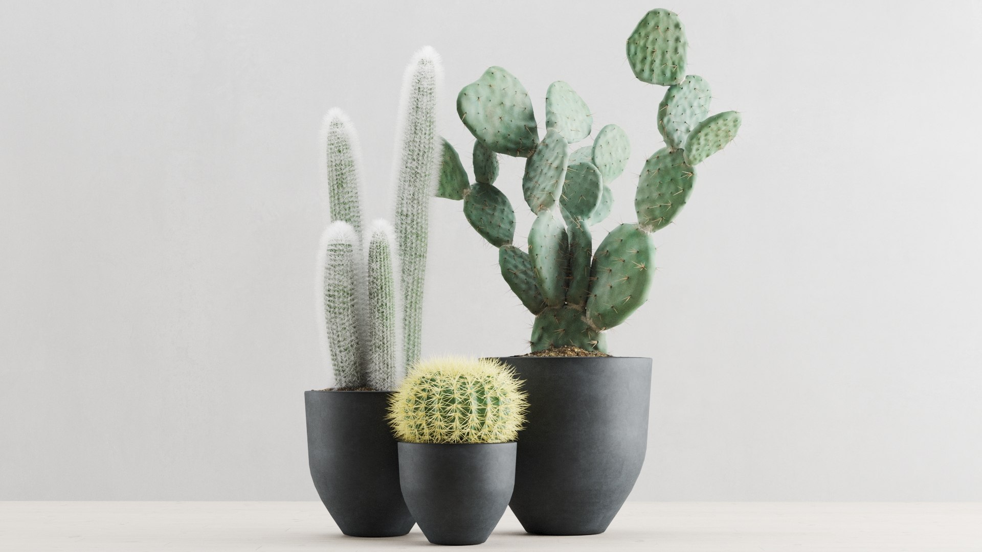 set cacti concrete pots 3D model https://p.turbosquid.com/ts-thumb/kE/TR1BLM/Ye/preview_01/jpg/1613654903/1920x1080/fit_q87/8ebb30fa14b07713198a9ef39b591ea740b3e6a1/preview_01.jpg