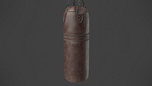 Punching Bag 5 3D model