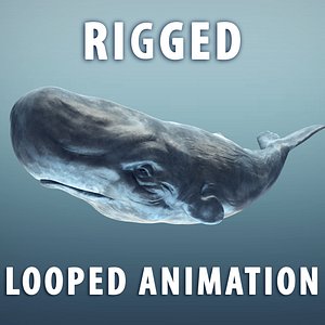 3d sperm whale