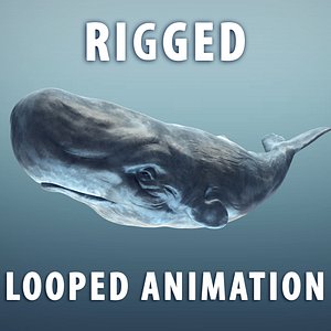 Sperm whale blue moby