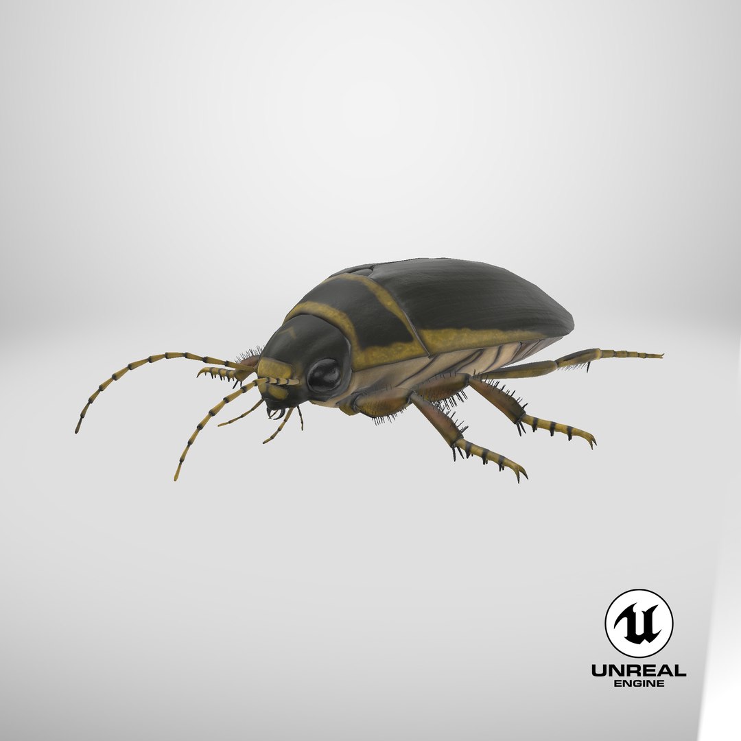 3D Water Beetle Brown https://p.turbosquid.com/ts-thumb/kE/jS5hMO/7A/stemcell_unreal_render/png/1719593265/1920x1080/fit_q87/51f1e8f01c53441bc5ac86c896b10b82f17b1ce0/stemcell_unreal_render.jpg