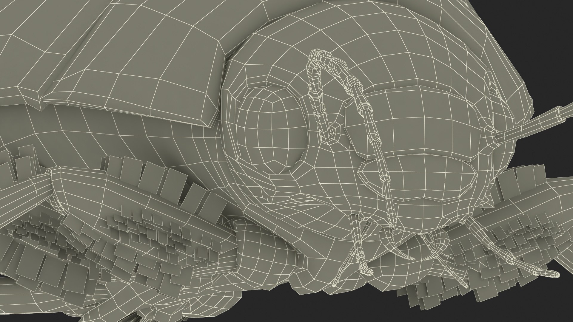 3D Water Beetle Brown https://p.turbosquid.com/ts-thumb/kE/jS5hMO/UO/waterbeetlebrown3dmodel039/jpg/1718270350/1920x1080/fit_q87/7fb6fe63f4270e856610e68d3f7db404981549a8/waterbeetlebrown3dmodel039.jpg