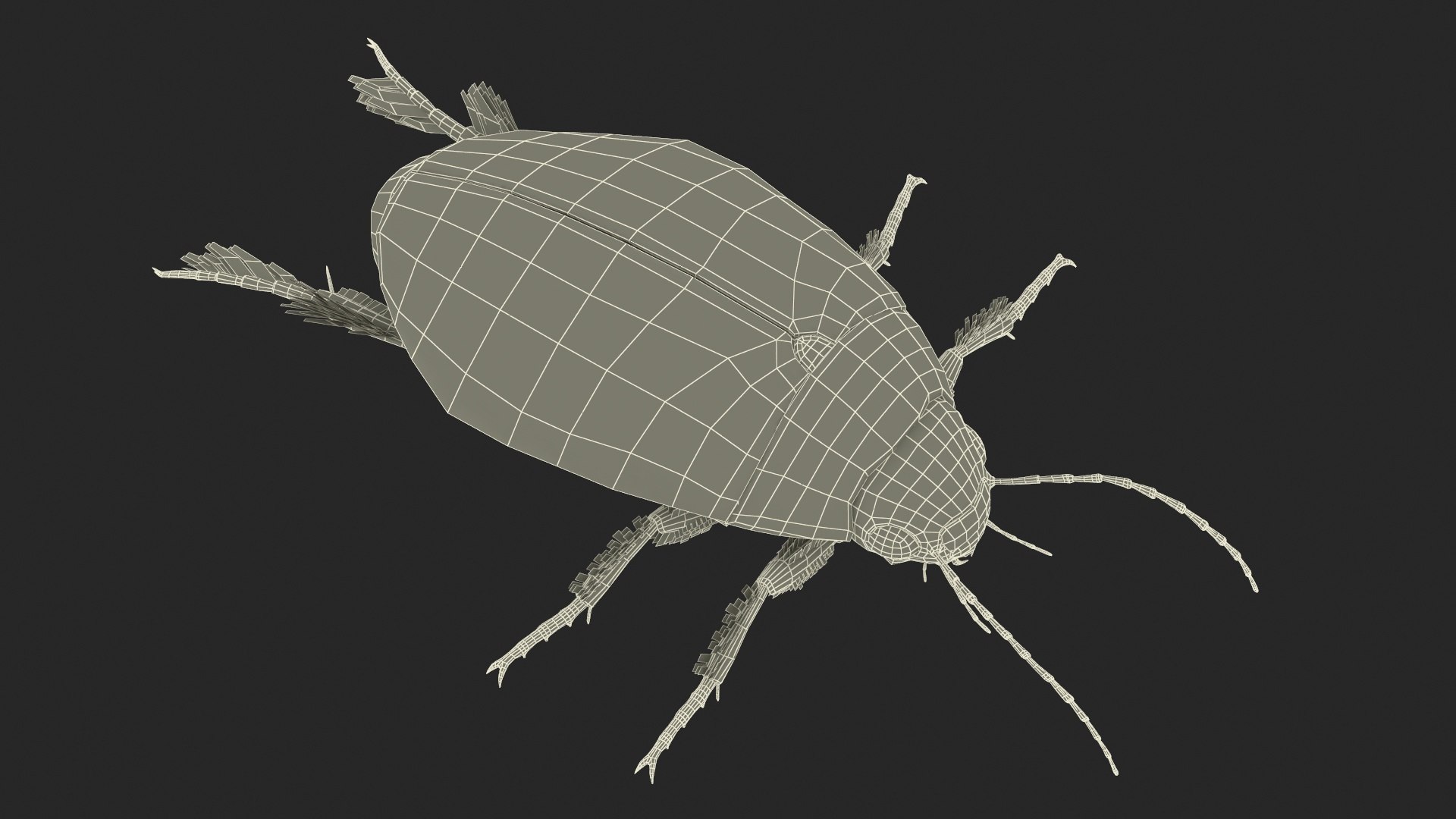 3D Water Beetle Brown https://p.turbosquid.com/ts-thumb/kE/jS5hMO/ea/waterbeetlebrown3dmodel035/jpg/1718270335/1920x1080/fit_q87/046adf337dace9e0d98f8c64b5970462e857d744/waterbeetlebrown3dmodel035.jpg