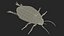 Water Beetle Brown