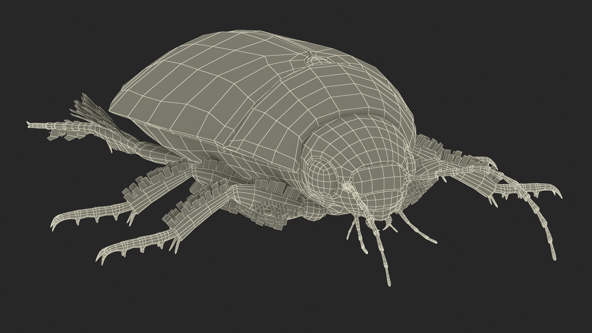 3D Water Beetle Brown https://p.turbosquid.com/ts-thumb/kE/jS5hMO/nn/waterbeetlebrown3dmodel034/jpg/1718270332/1920x1080/fit_q87/b63e59d46f716806065e3e2fabe124192641f20f/waterbeetlebrown3dmodel034.jpg